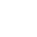 Perros y gatos